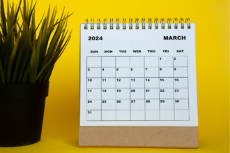 A white march 2024 calendar sitting next to a spiky plant on a yellow background